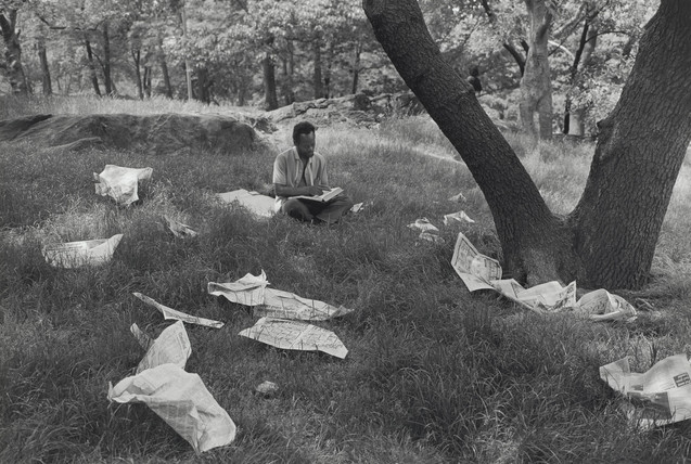 Time Travelers: Photographs from the Gayle Greenhill Collection